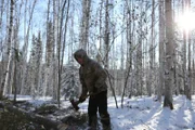 Alex Javor schlägt in der Nähe seines Grundstücks Holz. (Nationial Geographic/Mike Fennell)