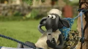 Wer ist am Ende der bessere Triller-Pfeifer, Shaun oder Bitzer?