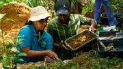 Mihiri Tharanga leitet die Abteilung Bodennährstoffe im Zimtforschungszentrum. Die Arbeitsgruppe untersucht die Beziehung zwischen Wurzelwachstum und Bodenbeschaffenheit.