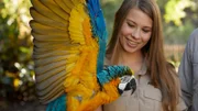 Bindi Irwin with parrot on arm and wings spread.