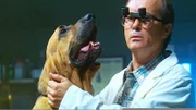 In der kleinen Stadt Jackpot wird der örtliche Tierarzt, Dr. Dale Sterling (Jeffrey Combs), mit einem schrecklichen Mord konfrontiert.