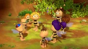 Die Bienenschüler freuen sich auf die Sternschnuppenparty.
