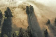 Wilde Schweiz 2 Der Waadtländer Jura Morgenstimmung Vallée du Joux