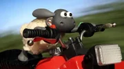 Timmy hat es ganz schön eilig. Hoffentlich geht das gut.