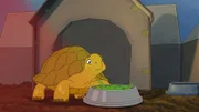 Plötzlich ist Törtel ein Haustier. Doch er vermisst sein altes Zuhause - draußen, in der Natur, mit den Müggeldorfer Wildtieren, denen die clevere Schildkröte nach einer Auseinandersetzung ebenso fehlt.