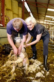 Ina Müller beim Schafe scheren mit Farmer Joe.
