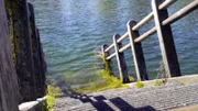 Gänsehäufl, Stiege.