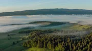 Wilde Schweiz 2 Der Waadtländer Jura Juraweiden und Risoud-Wald
