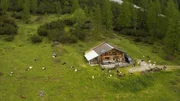 In Tirol gibt es die meisten Almen Österreichs; rund 2100 Almen mit 380.000 Hektar Almfläche.