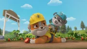 v.li.: Rubble, Motor