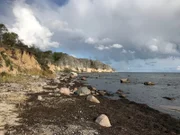 An der Ostseeinsel Greifswalder Oie kann man wieder regelmäßig Kegelrobben beobachten. Lange Zeit war die Kegelrobbe hier nicht mehr existent. Aber auch an der Ostsee steigen die Bestände wieder an.