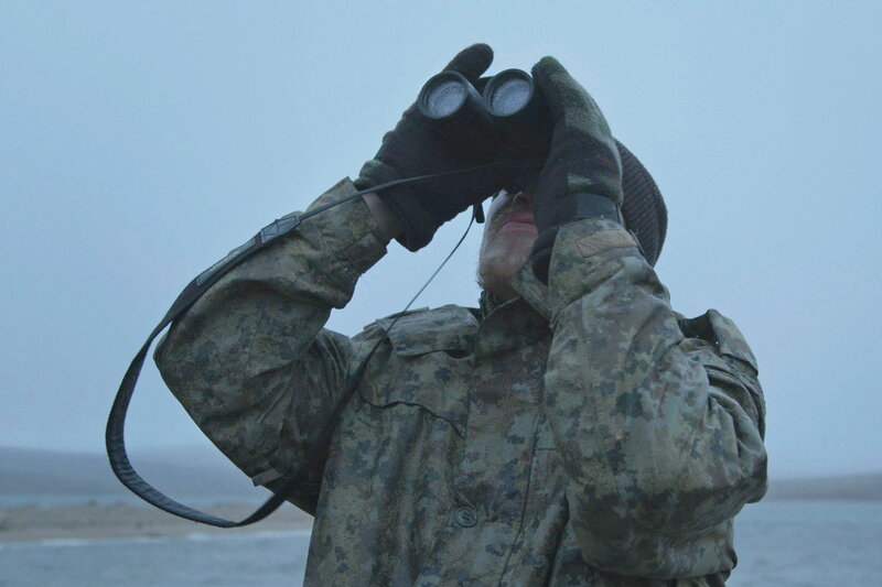 Haulout - Walrosswanderung (RUS, 2022)