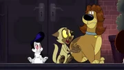 v.li.: Bunnicula, Chester, Harold