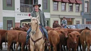 Tim hat seine vor Jahren gestohlene Rinderherde wiedergefunden und treibt sie zum Polizeirevier von Hudson.