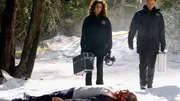 Detective Mac Taylor (Gary Sinise) und Detective Stella Bonasera (Melina Kanakaredes) ermitteln: Wurde Paul Montenassi (Nick Di Brizzi Jr.) erschlagen, weil er das Tattoo der Tanglewood-Boys fälschte?