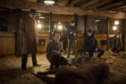Als eine Frauenleiche im Körper eines Pferdes gefunden wird, sind Jack (Laurece Fisburne, l.), Hannibal (Mads Mikkelsen, 2.v.l.), Jimmy (Scott Thompson, 2.v.r.) und Brian (Aaron Abrams, r.) ratlos ...