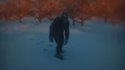 Bigfoot und Yeti, geheimnisvolle Kreaturen, die in unberührten Wäldern und auf eisigen Bergen leben.