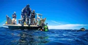 Tony Sampson macht sich bereit zum Tauchen, während Kayla im Wasser ist.