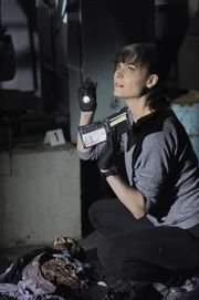 Brennan (Emily Deschanel) und Booth suchen nach dem Scharfschützen Jacob Broadsky, der glaubt, für Recht und Ordnung sorgen zu müssen und wieder ein Opfer hingerichtet hat.