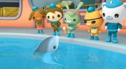 V.li.: Dana, Sebastian, Trixie, Kwasi und Käptn Barnius überlegen, wie sie den Baby-Delphin wieder zu seiner Mutter lotsen können.