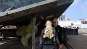 Die Familie hat einen Ausflug nach Ra's al-Chaima und in den Oman geplant, doch die Versicherung der Indigo Star macht ihnen einen Strich durch die Rechnung. Die Familienyacht muss aufs Trockendock. Ein kostspieliges Unterfangen.