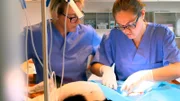 Assistenzärztin Lara übernimmt die Operation unter Stephanie Petersens fachmännischer Anleitung.