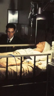 Meg Austin (Tracy Needham), Harmon Rabb, Jr. (David James Elliott)