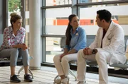 Arzu Ritter (Arzu Bazman, mi.) und Dr. Philipp Brentano (Thomas Koch, re.) bekommen überraschend Besuch von der Lehrerin ihres Sohnes Max. Corinna Hilger (Anna Schäfer, li.) erzählt den beiden, dass Max den Unterricht stört und bei Ermahnung aggressiv reagiert. Frau Hilger hat mit ihm ein paar Tests gemacht und vermutet, dass Max hochbegabt ist. Die Eltern sollten doch bitte über ein entsprechendes Internat nachdenken.
