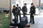 Untersuchen einen neuen Mordfall: Ziva (Cote de Pablo, l.), Tony (Michael Weatherly, 2.v.l.), McGee (Sean Murray, 2.v.r.), Gibbs (Mark Harmon, r.) und Ducky (David McCallum, vorne) ...