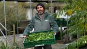 Bio-Landwirt Maarten Cools war auf der Suche nach einem umweltfreundlichen Transportmittel für sein Gemüse. Bootsbauer Geert Dekleermaeker verwirklichte ihm diesen Traum mit einem eigenen Solarboot.