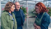 Bibi Fellner, Moritz Eisner, Helene Schmiedinger.