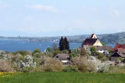 Blick auf Kirche in Horn, Höri im Frühjahr.