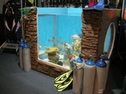 The finished Riverwalk Dive Center aquarium.