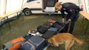 Drogenspürhund kontrolliert Koffer.