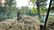 Freunde von Sebastian packen mit ihm einen Heukahn für das Dorffest.
