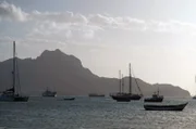 Die Kapverden beherbergen eine reiche Fauna unter Wasser. Noch ist das Meer rund um die Inselgruppe nicht überfischt ...