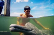 Ein Flussdelfin spielt mit einheimischen Kindern in Mocajuba, Brasilien.