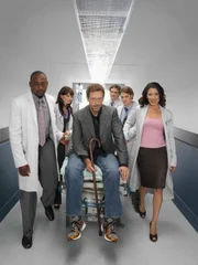 Der Nephrologe und Infektiologe Dr. Gregory House ist am Princeton-Plainsboro-Lehrkrankenhaus ein Außenseiter. Mit seinem unsozialen Verhalten stößt er regelmäßig Kollegen und Patienten vor den Kopf. Seine Diagnosen sind allerdings brillant. Mit seinem genialen Verstand kommt der Zyniker House ungewöhnlichen Krankheiten auf die Spur und spornt sein Mitarbeiterteam zu Höchstleistungen an.