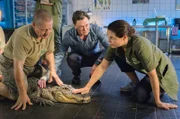 Wolfgang Neubert (Uwe Bohm, M.), Besitzer einer Reptilienshow, will sein Krokodil Nero an den Zoo verkaufen. Er verheimlicht Tierärztin Susanne Mertens (Elisabeth Lanz, r.) allerdings, dass das Tier nicht gesund ist. (Komparse, l.)