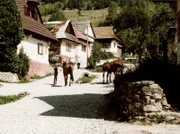 Ein intaktes Ensemble der Holzarchitektur in der Slowakei. Die einzige Straße von Vlkolinec mit den farbig angelegten Holzhäusern.