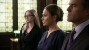 Stecken der Investmentbanker Richard Morgan (Richard Burgi) und die Firmenanwältin Ingrid Block (Lena Olin, M) unter einer Decke? Die Anwältin Alexandra Cabot (Stephanie March) des Special Victims Teams ermittelt.