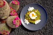 Erbseneintopf mit in Teriyaki-Sauce marinierten Aloe-Vera-Würfeln, Aloe-Vera-Blüten und pochiertem Ei