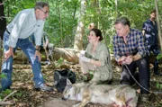 Der Wolf ist in eine illegale Falle gelaufen und schwer verletzt von Professor Baumgart (Gunter Schoß, l.) und seinem Team - der Kollege vom BUND Hans Gründling (Tom Quaas, r. und Komparsen) - gefunden worden. Tierärztin Susanne Mertens (Elisabeth Lanz, M.) verspricht, alles zu tun, was in ihrer Macht steht, um das Tier zu retten. Große Hoffnungen hat sie nicht.