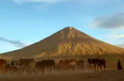 Im Norden Tansanias am Natronsee erhebt sich majestätisch der knapp 3.000 Meter hohe Ol Doinyo Lengai. Seine vulkanische Aktivität ist eine Folge des Großen Afrikanischen Grabenbruchs.
