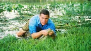 Ein Alligator gleitet durch den Sumpf und Reptilienexperte Jeff Corwin (spielt sich selbst) schnappt ihn. Er filmt gerade für seine TV-Serie und kommt dem CSI-Team bei den aktuellen Ermittlungen wie gerufen.