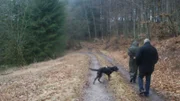 Bei der Suche nach Walter K. wurden alle verfügbaren Mittel eingesetzt, darunter auch Leichenspürhunde, die verschüttete Bunker, Sickergruben und weites Waldgebiet bis hin zu den Ardennen durchkämmten.