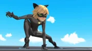 Cat Noir