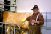Bauer Huber (Horst Krause) ist nicht besonders glücklich über seinen neuen Stier ...