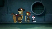 v.li.: Harold, Chester, Bunnicula