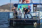Welche Geschichten erzählen gesunkene Schiffe, wie viele Schätze sind unter Wasser zu finden und welche Naturgewalten entstehen in den Meeren? Wissenschaftler wollen den Geheimnissen über Aufstieg und Fall der Minoer, Griechen Karthager und der mächtigen Römer auf den Grund gehen.